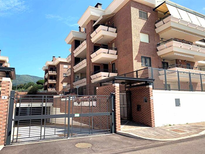 Appartamento bilocale in affitto in Via Nuova Ceppeta, Via della Caranella Via di Cori, Velletri