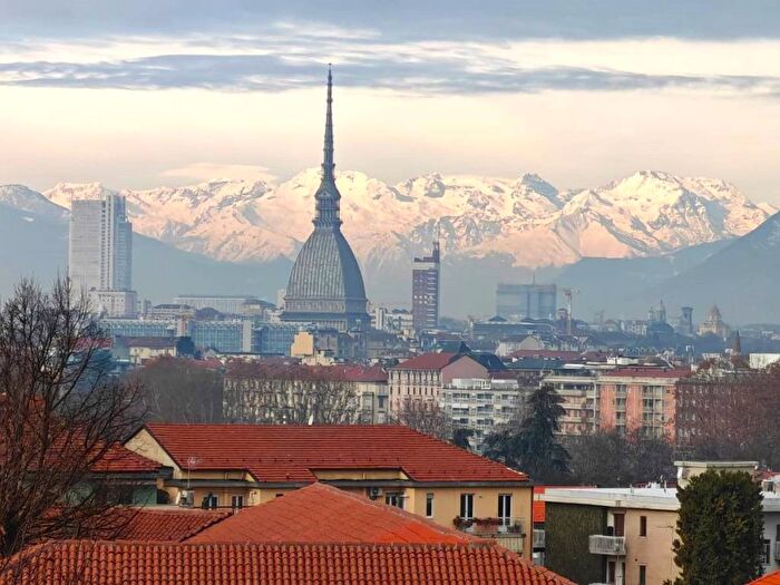 Appartamento bilocale in affitto in Corso Quintino Sella, Gran Madre Crimea, Torino