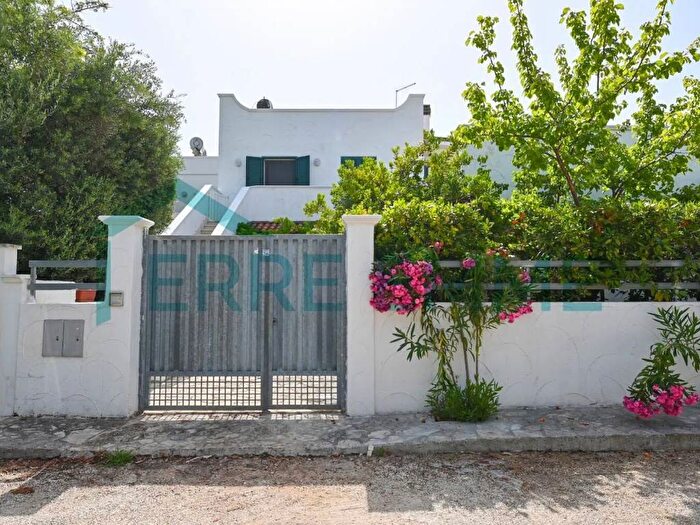 Appartamento trilocale in affitto in Carovigno