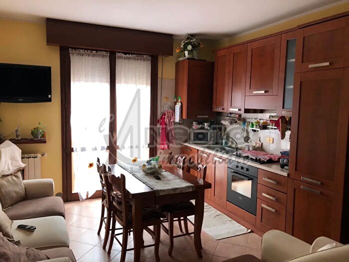 Appartamento trilocale in affitto in Occhiobello