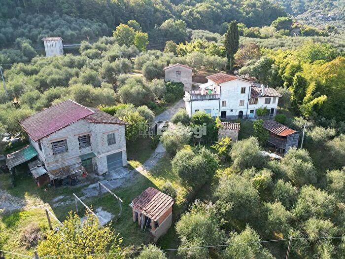 Casa con 20 locali in vendita in Via di Bolognana, Lucca