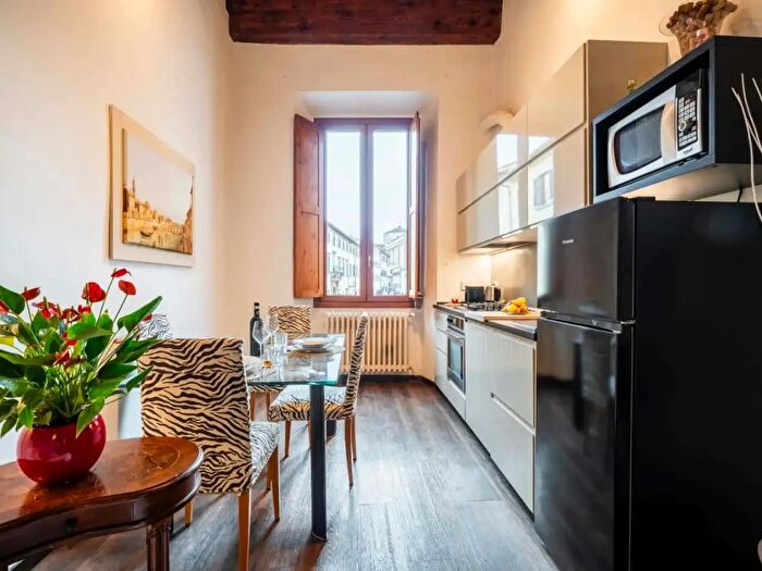 Appartamento monolocale in affitto in Borgo San Frediano, Firenze