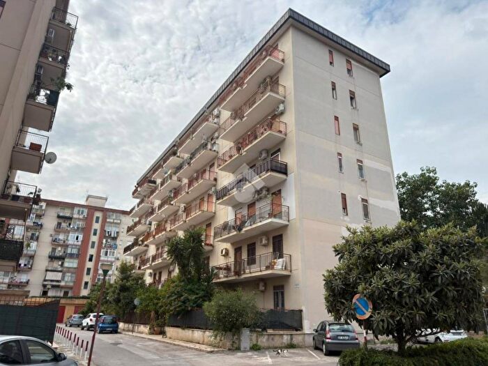 Appartamento quadrilocale in affitto in Passaggio pugliatti salvatore, CEP Michelangelo Alta, Palermo