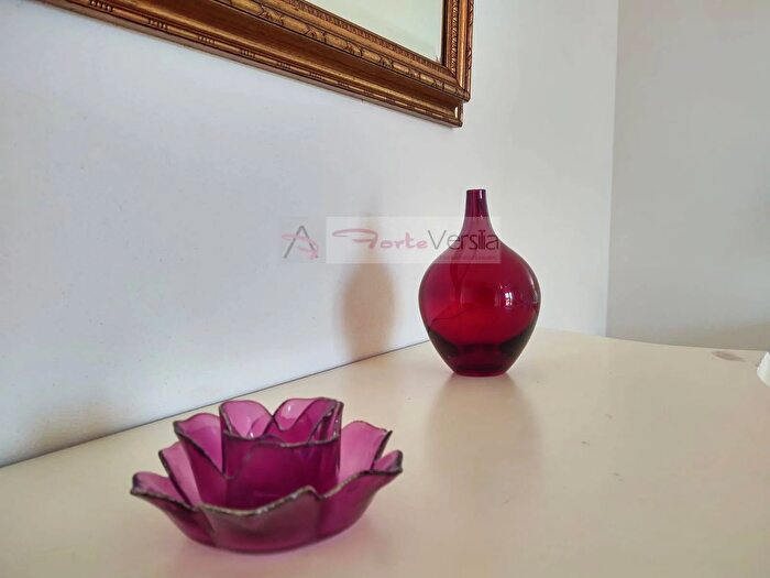 Casa con 10 locali in vendita in Via dei Mille, Pietrasanta