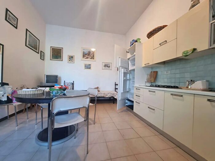 Appartamento bilocale in affitto in Luni