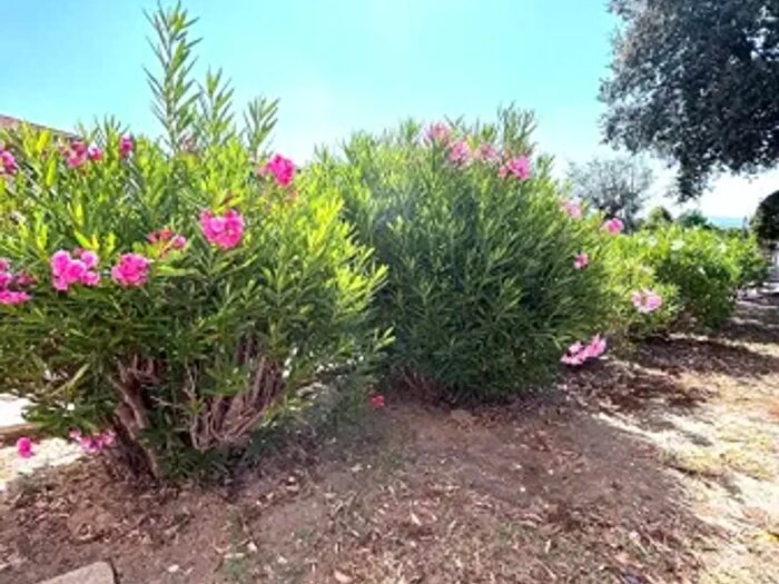 Appartamento quadrilocale in vendita in Via della Capraia, Livorno