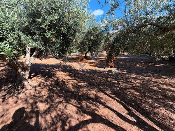 Casa trilocale in vendita in Contrada Fraginesi, Castellammare Del Golfo
