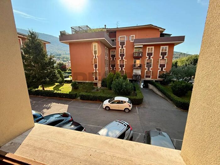 Appartamento quadrilocale in affitto in Prato