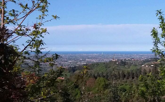 Casa con 15 locali in vendita in Via Provinciale Monteleone, Roncofreddo