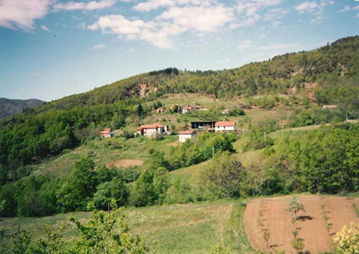 Casa con 5 locali in vendita in Località San Luca, Molare