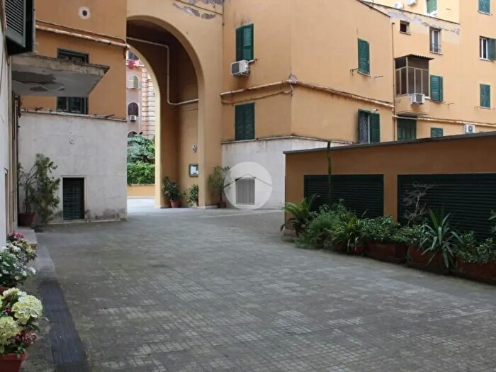 Appartamento monolocale in affitto in Roma