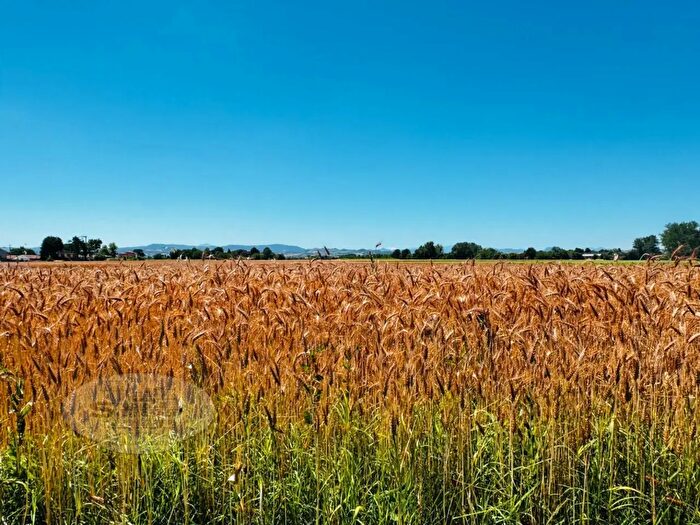 Appartamento quadrilocale in vendita in Via Bassa Paolucci, Formigine