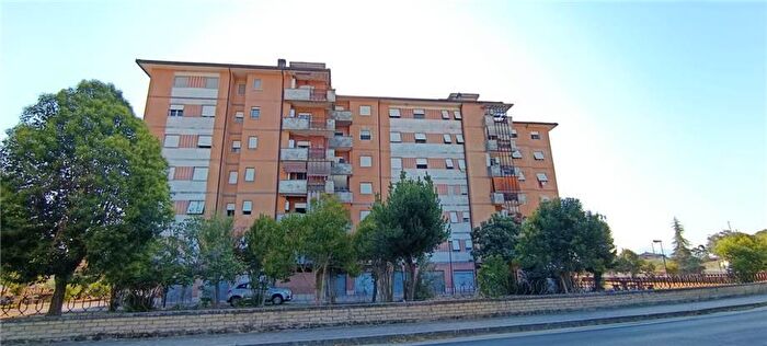 Appartamento con 8 locali in affitto in Pontecorvo