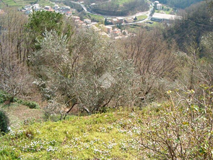 Casa con 5 locali in vendita in Via De Zerega, Cicagna