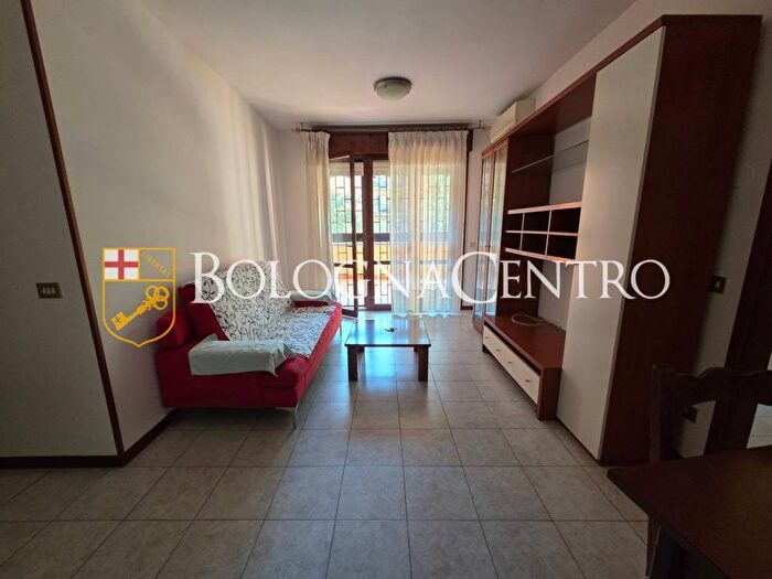 Appartamento quadrilocale in affitto in Via Del Carpentiere, San Vitale Roveri, Bologna