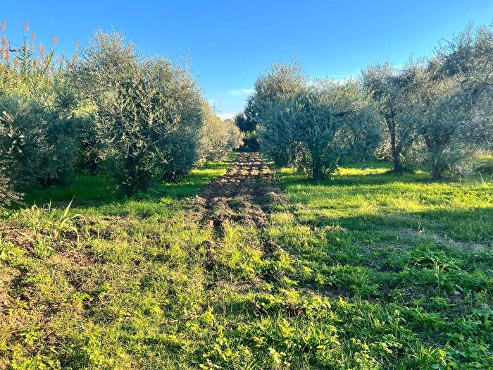 Casa in vendita in Via Don Luigi Sturzo, Rigoli Molina di Quosa, San Giuliano Terme