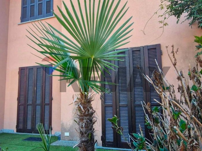 Appartamento quadrilocale in affitto in Via Brunico, Belforte, Varese