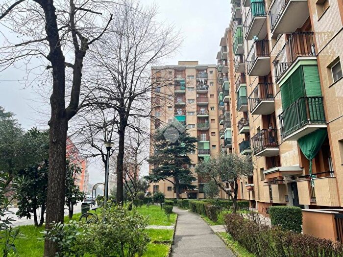 Appartamento bilocale in affitto in Via Eugenio Curiel, Corsico