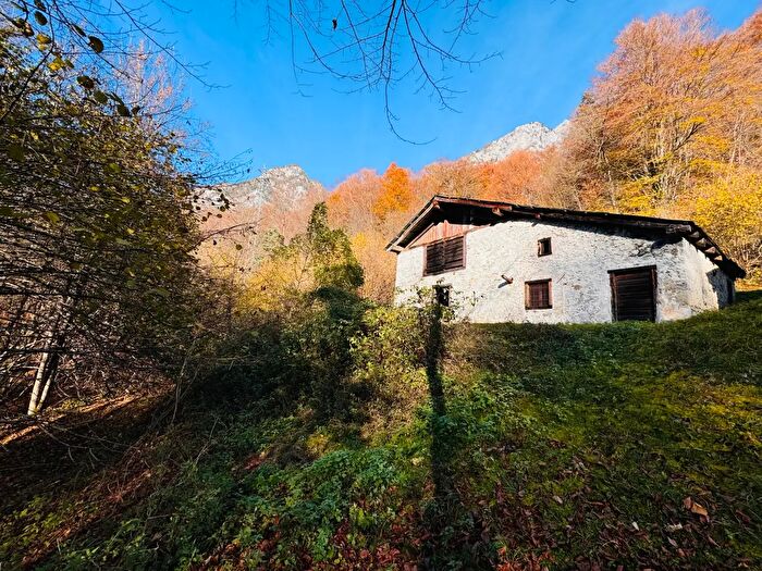 Casa monolocale in vendita in Forni Di Sotto