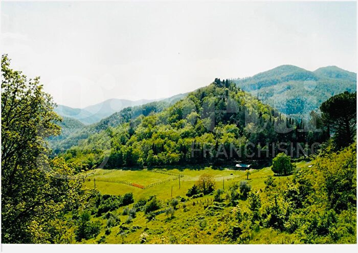 Appartamento con 10 locali in vendita in San Godenzo