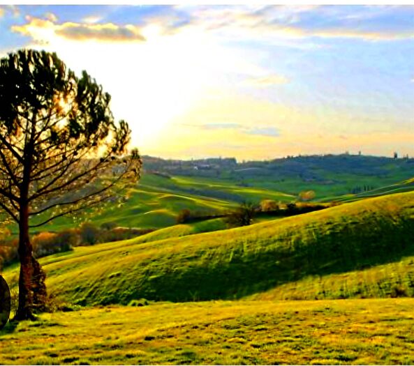 Casa con 15 locali in vendita in Montespertoli