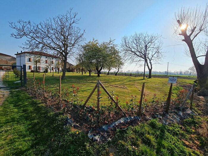 Appartamento trilocale in affitto in Curtatone