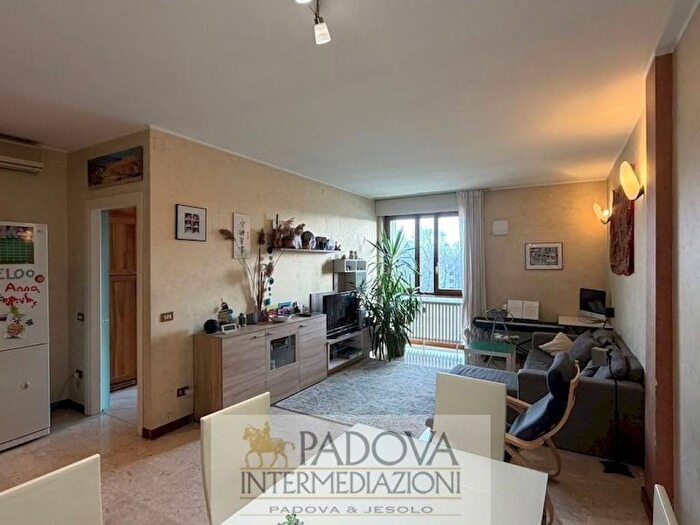 Appartamento con 5 locali in affitto in Via Ivrea, Sacra Famiglia Basso Isonzo, Padova