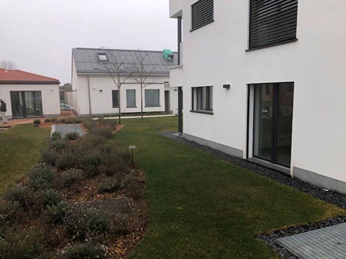 Appartamento bilocale in affitto in Via Vittorio Veneto, Albizzate