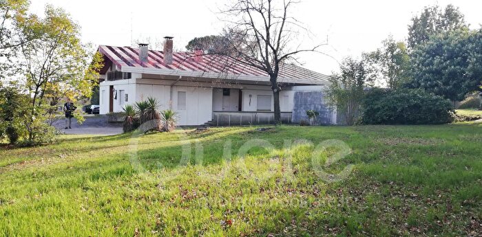 Casa con 10 locali in vendita in Via Gabriele Luigi Pecile, Fagagna