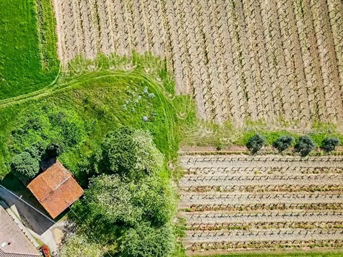 Casa con 6 locali in vendita in I S Donato, Vinci