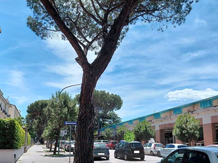 Appartamento bilocale in affitto in Viale degli Atlantici, Sala Mellusi, Benevento