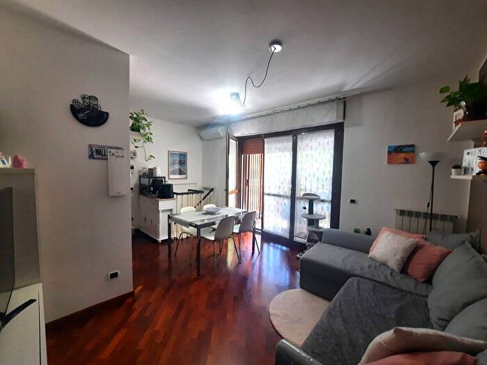 Appartamento bilocale in affitto in via I Maggio, Segrate Centro, Segrate