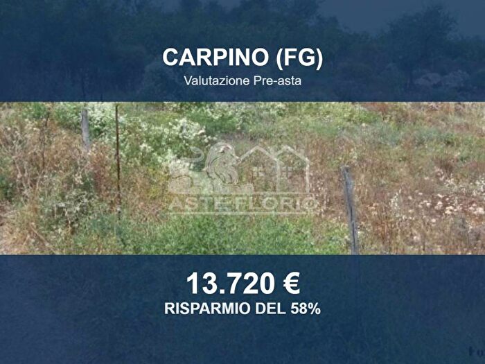 Casa in affitto in Strada Comunale Monte, Carpino