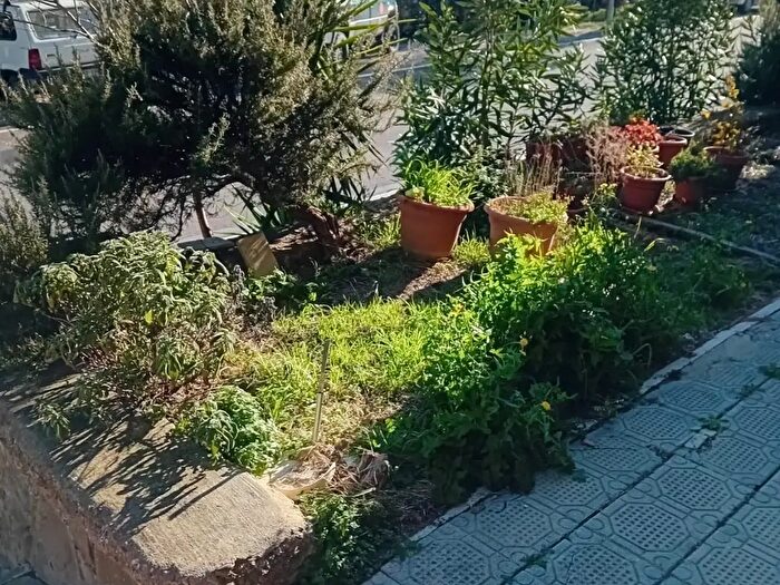 Appartamento trilocale in vendita in Cinigiano