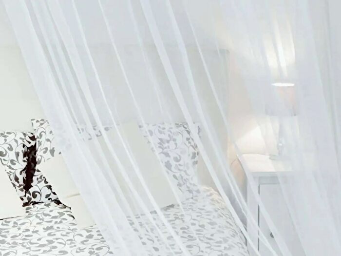 Appartamento monolocale in affitto in Via Laura Mantegazza, Roma