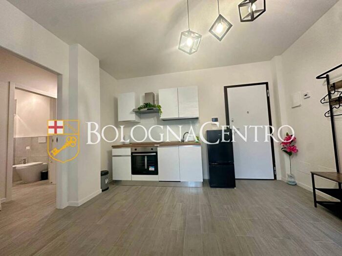 Appartamento monolocale in affitto in Via Martin Luther King, Borgo Panigale, Bologna