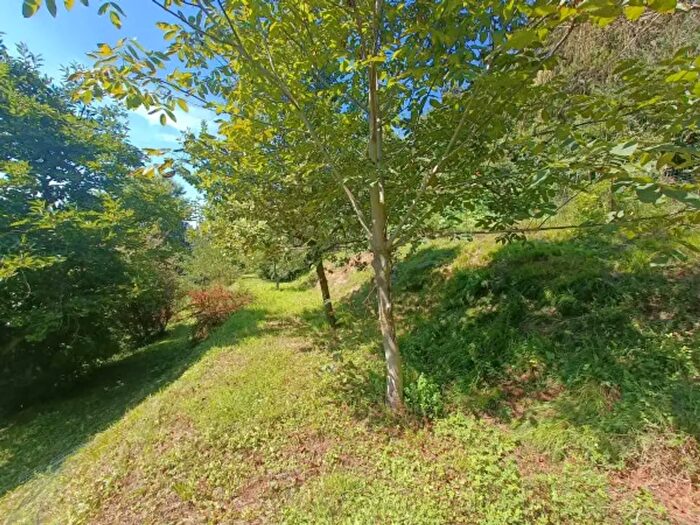 Casa con 6 locali in vendita in Zandobbio