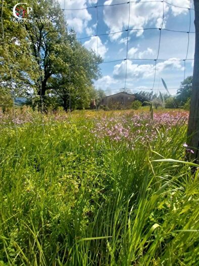 Casa con 12 locali in vendita in Via di San Gavino, Scarperia e San Piero