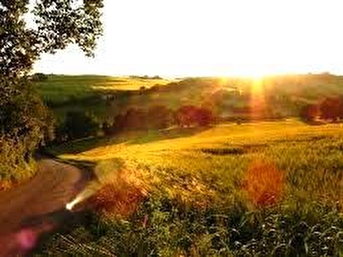 Appartamento quadrilocale in vendita in Agugliano