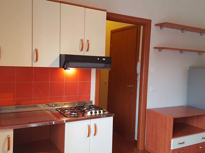 Appartamento monolocale in affitto in Via Ippolito Nievo, Buon Pastore Parco Amendola, Modena