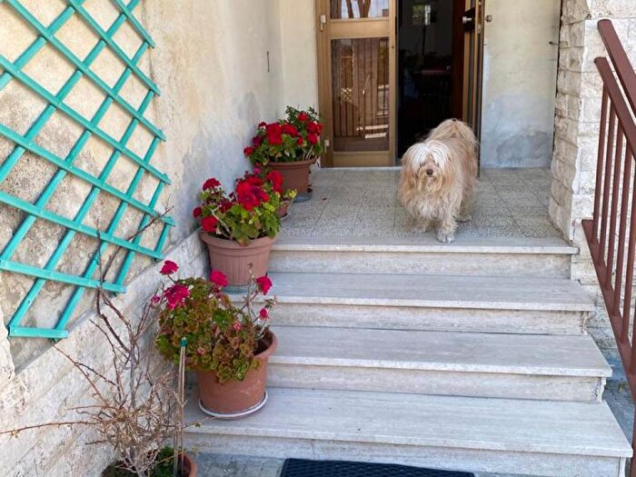 Casa in affitto in Marina di Pisa, Pisa