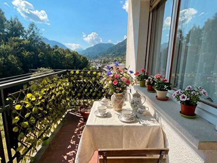 Appartamento trilocale in affitto in Via Cortina, Centro, Pieve di Cadore