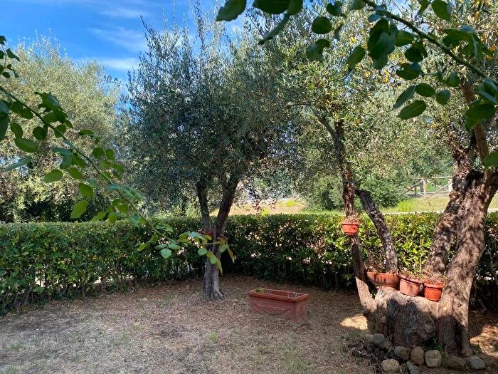 Appartamento con 5 locali in affitto in Magliano in Toscana, Magliano In Toscana