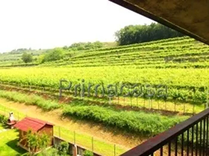 Appartamento bilocale in affitto in Via Don Nicola Mazza, San Pietro In Cariano