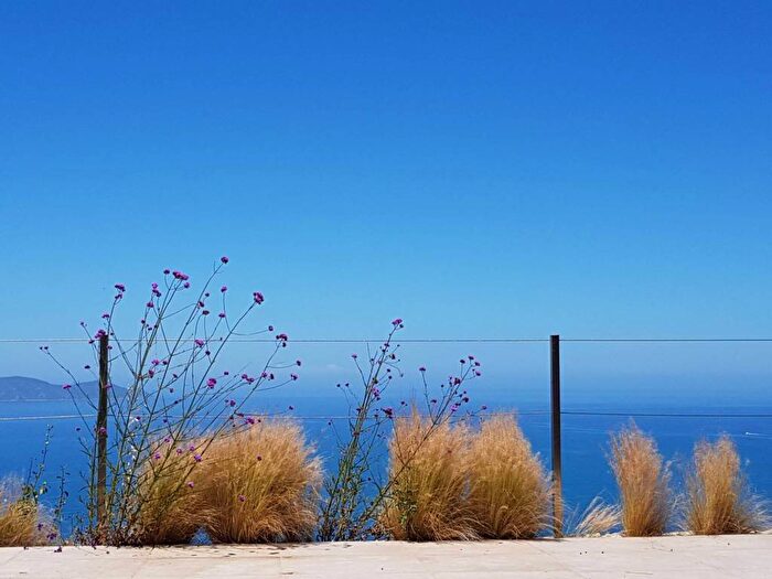 Casa con 6 locali in affitto in Località Calamoresca, Porto Santo Stefano, Monte Argentario
