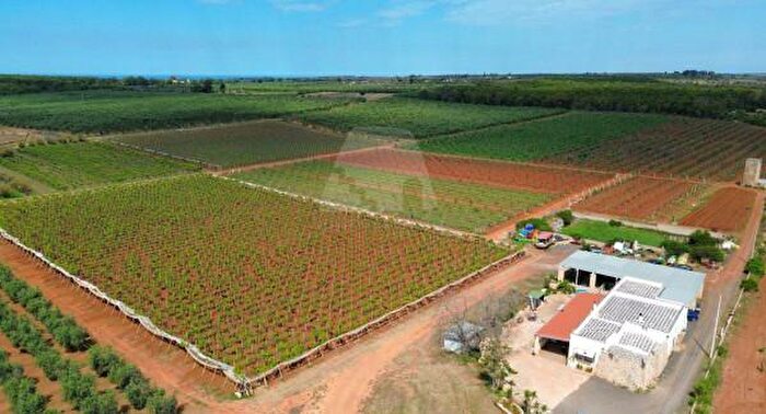 Casa quadrilocale in vendita in Strada Provinciale Presicce Lido Marini, PresicceAcquarica