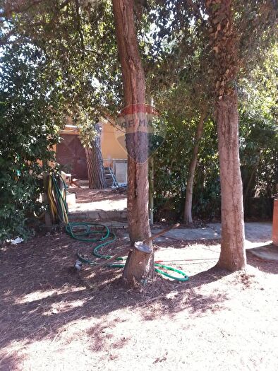 Appartamento monolocale in vendita in Piombino