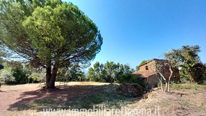 Casa trilocale in vendita in Ficulle