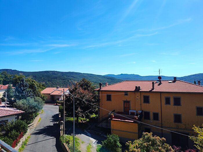 Appartamento con 5 locali in vendita in Via Giacomo Matteotti, Santa Fiora