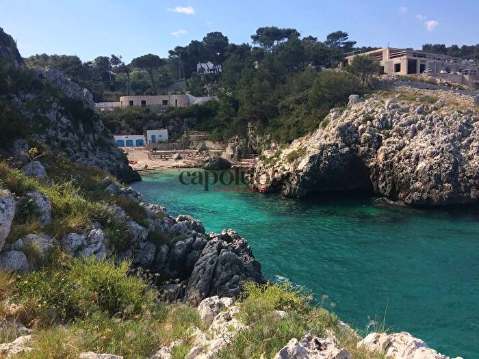 Casa quadrilocale in vendita in Diso